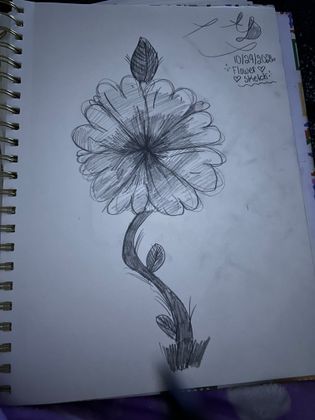 Petal Perfection