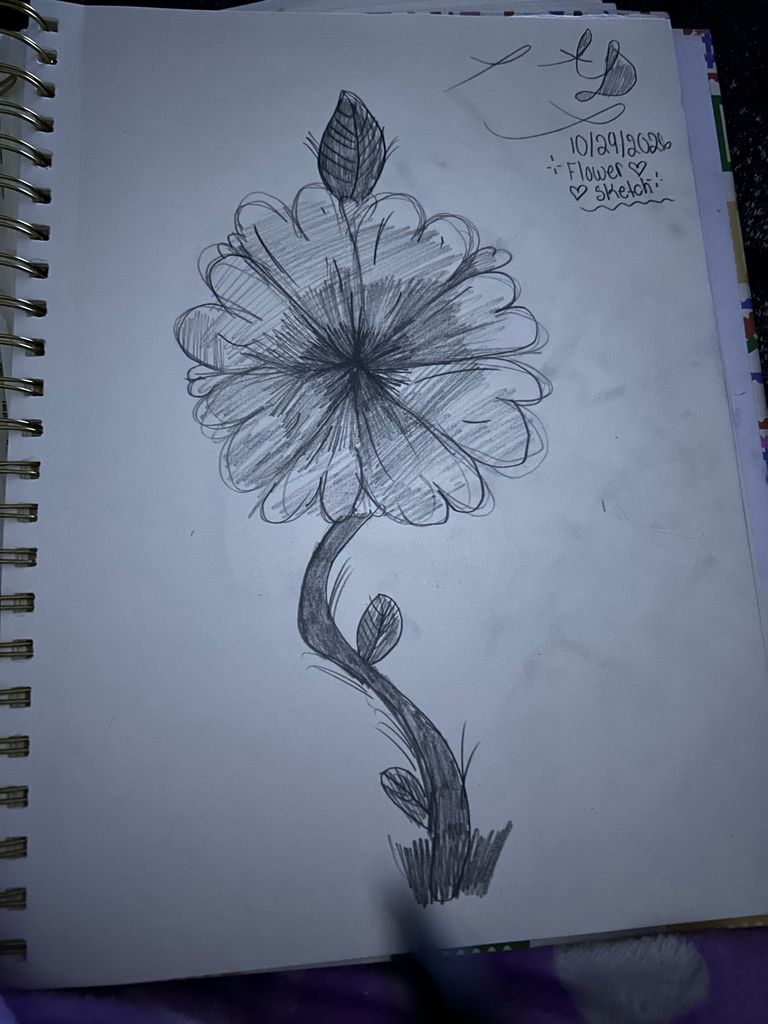 Petal Perfection